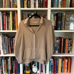 Everlane Taupe Silk Blouse
